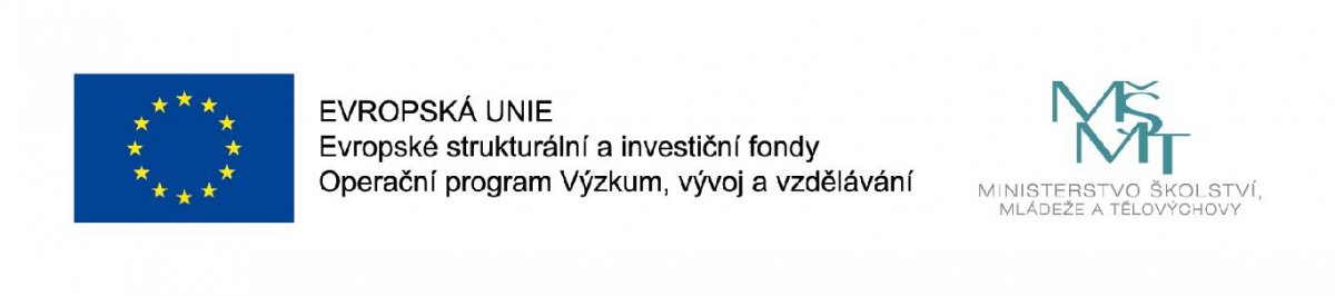 stazeny soubor